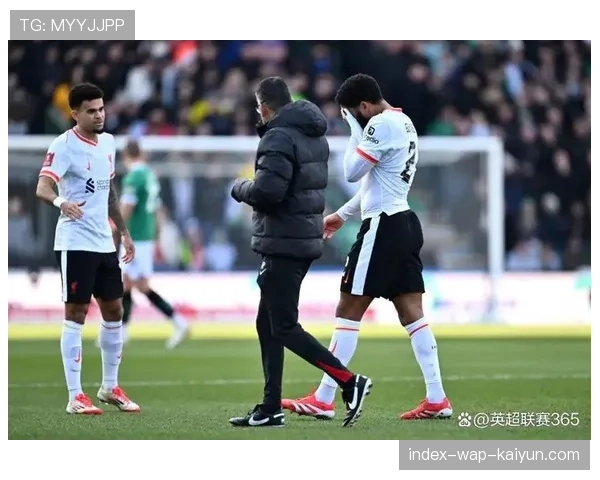 低级别联赛球队足总杯收入分成机制 赛事经济效应扶持小球会