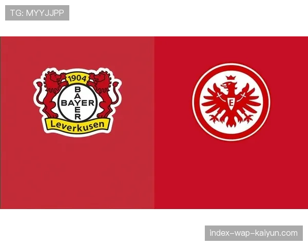 穆因加5球1助攻 法兰克福前锋场均0.4球效率稳定 穆因加5球1助攻 法兰克福前锋场均0.4球效率稳定